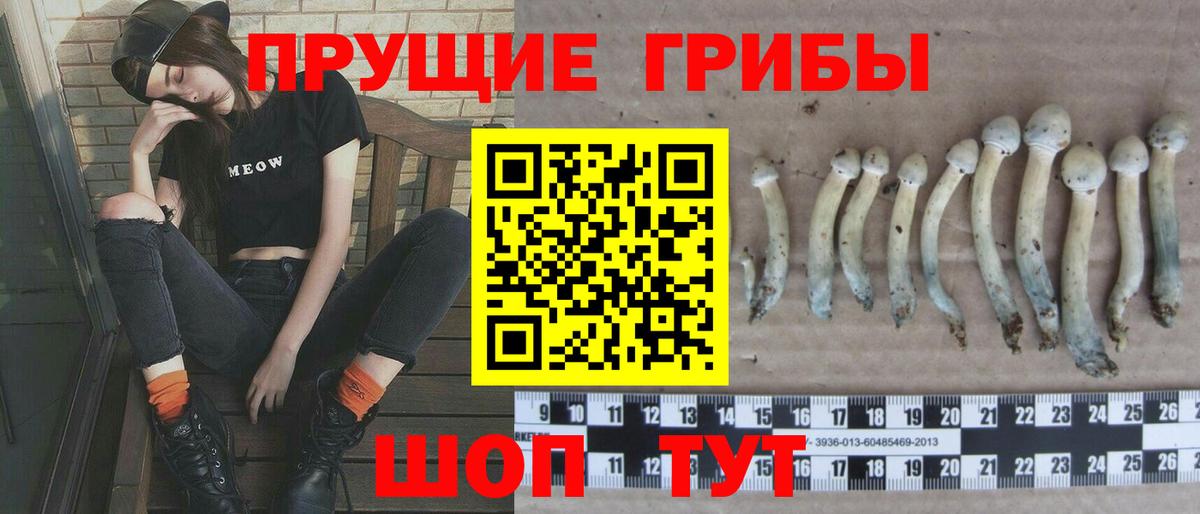 Галлюциногенные грибы мухоморы Кандалакша
